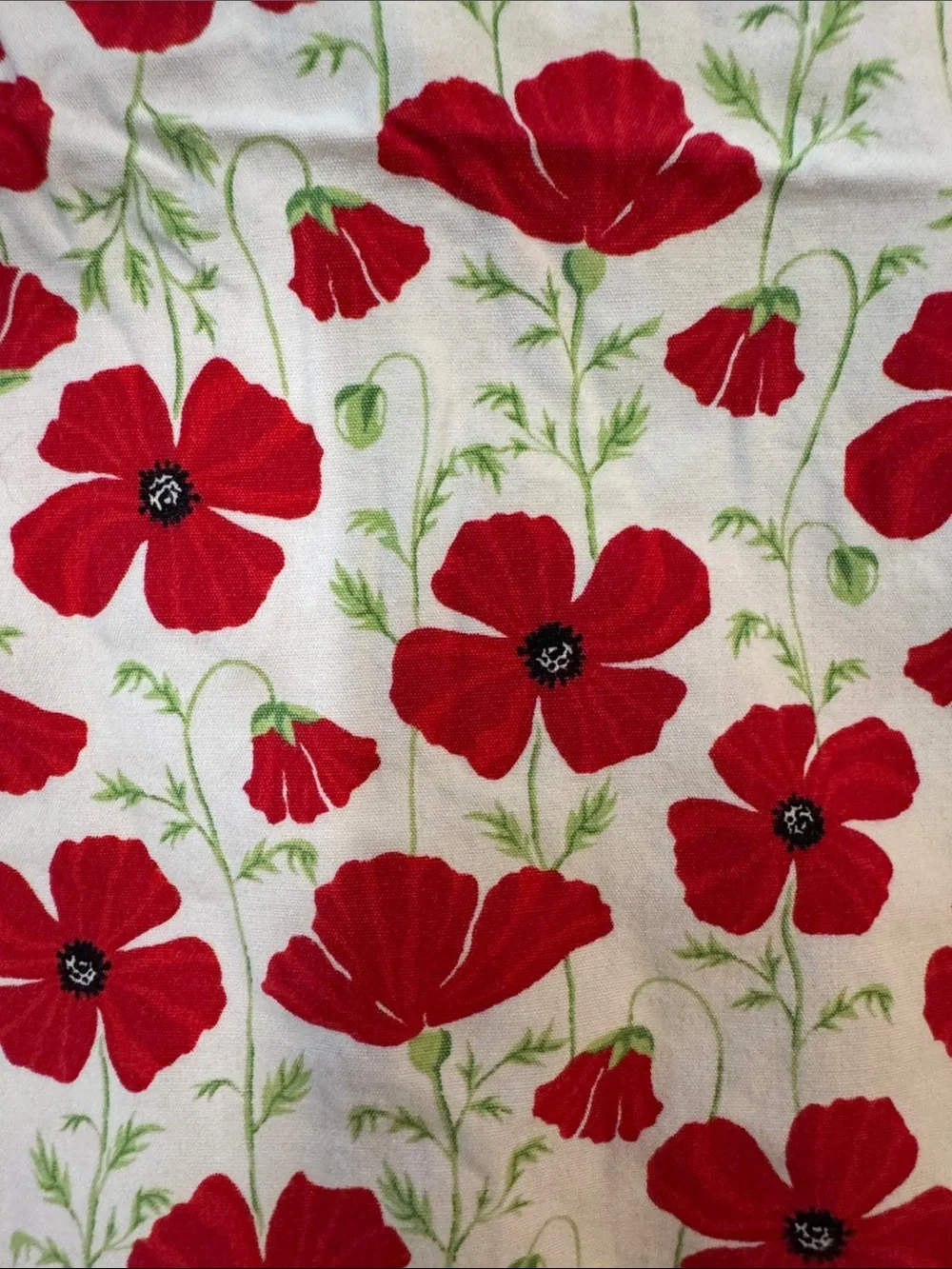 VINTAGE (2002) Gymboree White Dress with Red Poppie Print